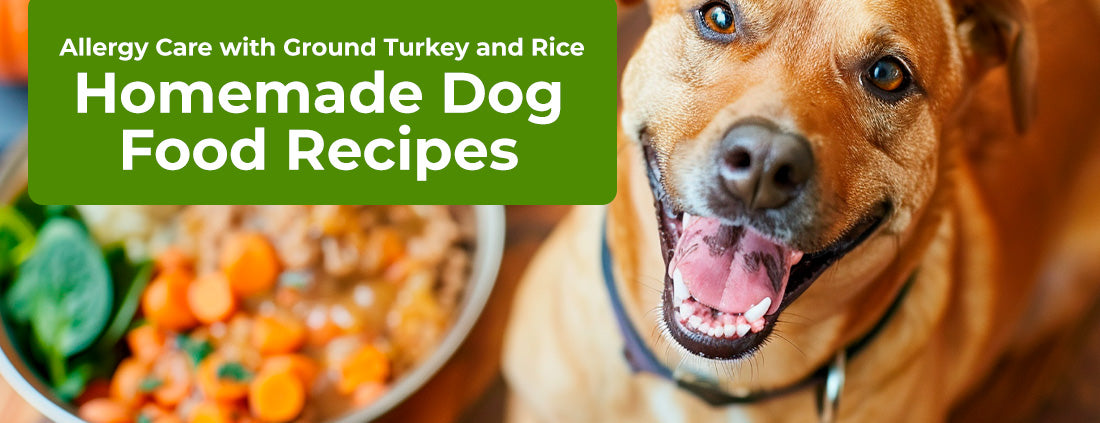 Allergy Care With Turkey and Rice Gordon s Grub Homemade Dog Food ChefPaw