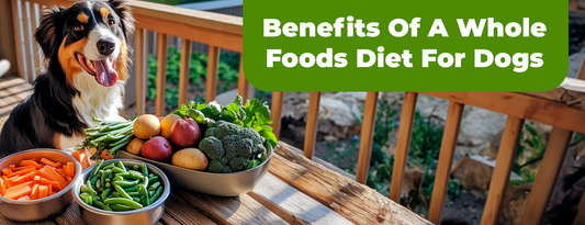 Benefits Of A Whole Foods Diet For Dogs