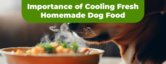 Importance of Cooling Fresh Homemade Dog Food