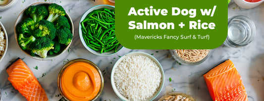 Active Dog w/ Salmon + Rice (Maverick’s Fancy Surf & Turf)