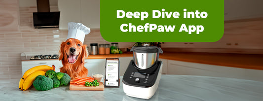 Deep Dive Into The ChefPaw App