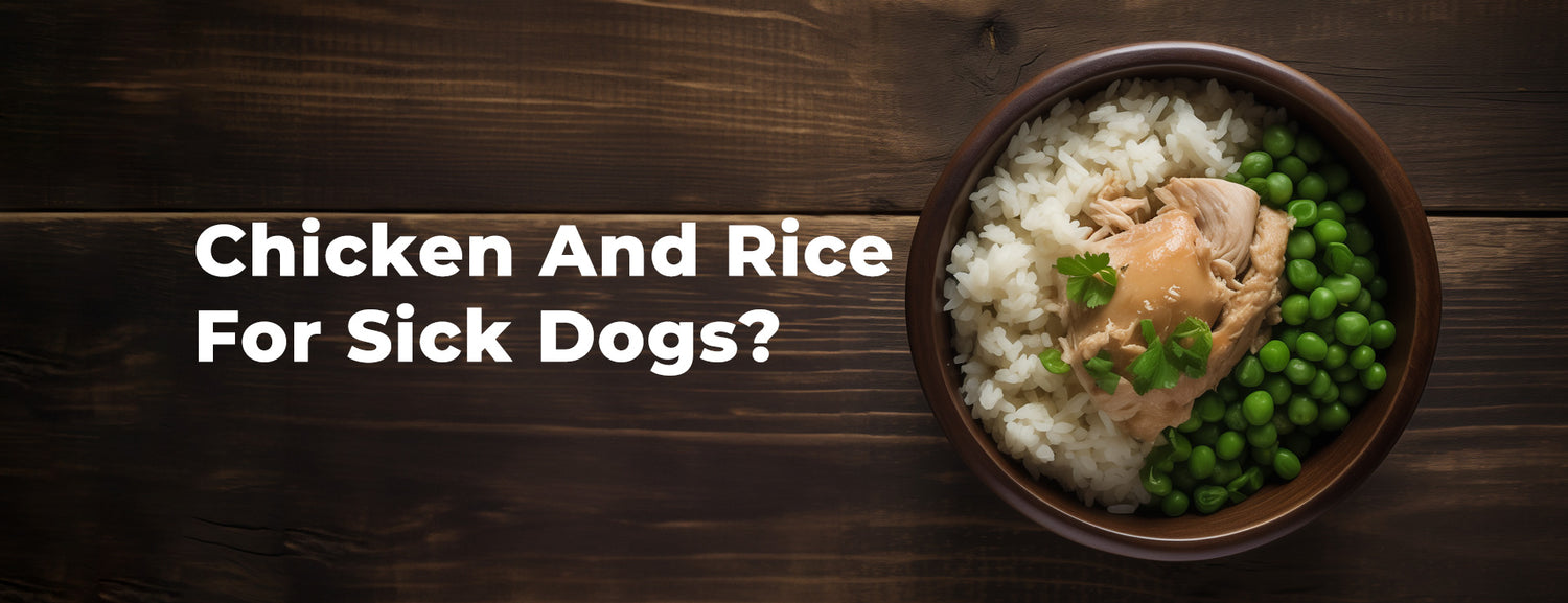 Chicken And Rice For Sick Dogs? – ChefPaw
