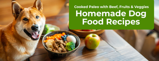 Cooked Paleo with Beef, Fruits & Veggies (A Modern Twist on Canine Nutrition) - Homemade Dog Food Recipes with ChefPaw