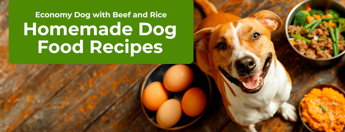 Economy Dog with Beef and Rice Homemade Dog Food Recipes with