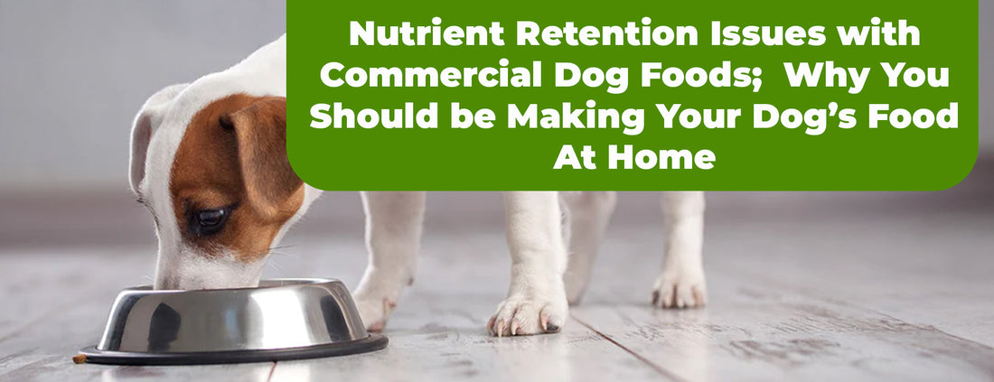 Nutrient Retention Issues with Commercial Dog Foods; Why You Should be Making Your Dog’s Food At Home