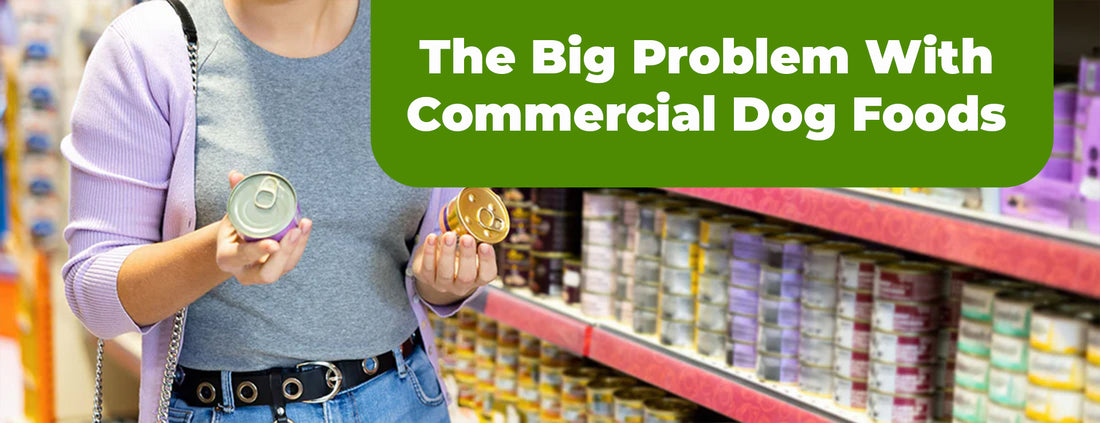 The Big Problem With Commercial Dog Foods