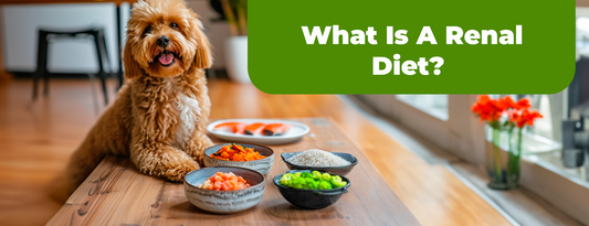 What Is A Renal Diet?