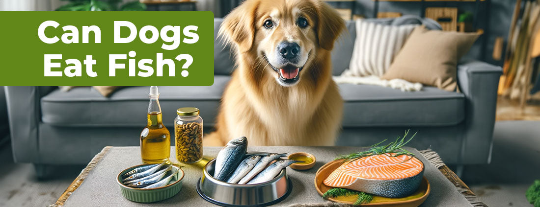 Is fish meat good for dogs best sale