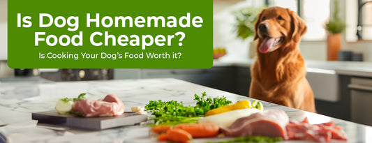 Is It Cheaper To Make Your Own Dog Food?