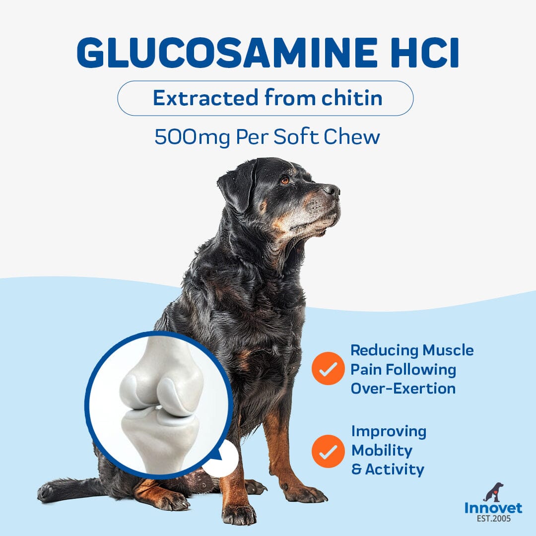 Glucosamine HCI extracted from chitin