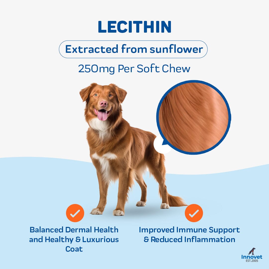 key benefit of lecithin infographic